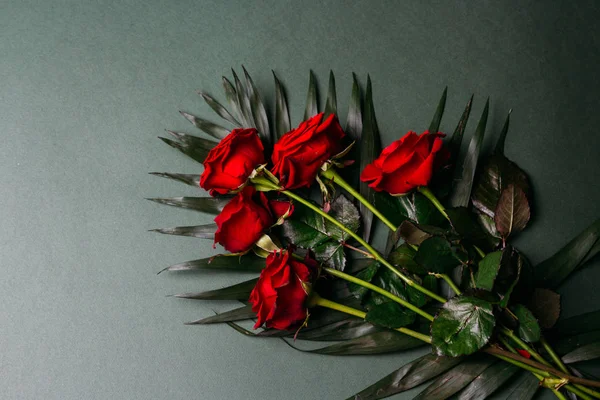 yeşil bir arka plan üzerinde kırmızı gül. yeşil yaprakları. kutlama. Sevgililer günü