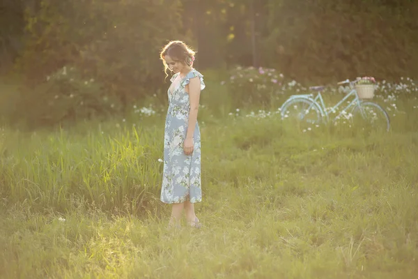 Vacker flicka vid solnedgången på sommaren i ett fält med en blomma i handen, promenader på sommaren, går, solen skiner — Stockfoto