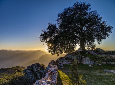 Mayorka paradisiac plajı, İspanya