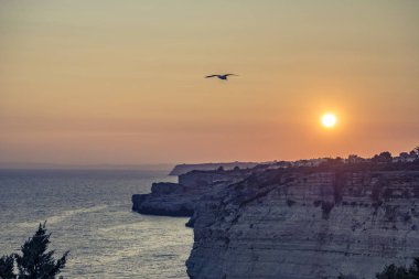 Madeira Adası Manzarası, Portekiz