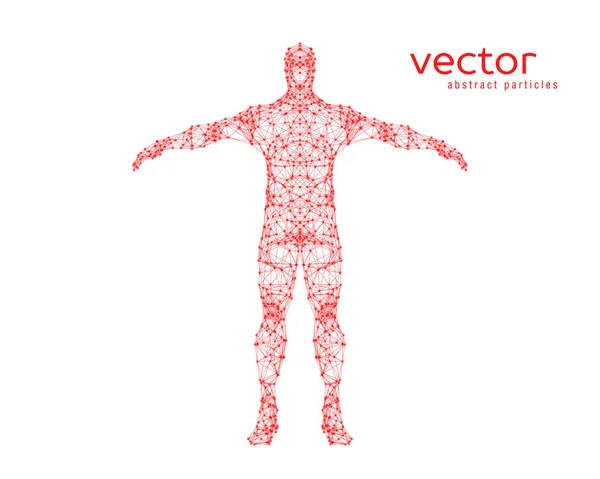 Abstract vector illustration of  man. — Stock Vector