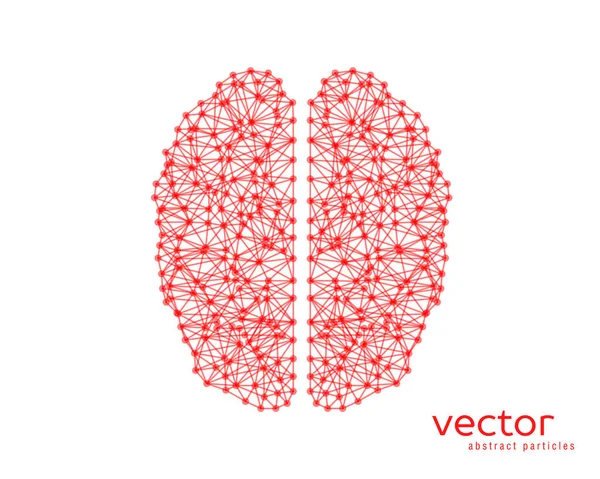 Abstract vector illustration of brain. — Stock Vector