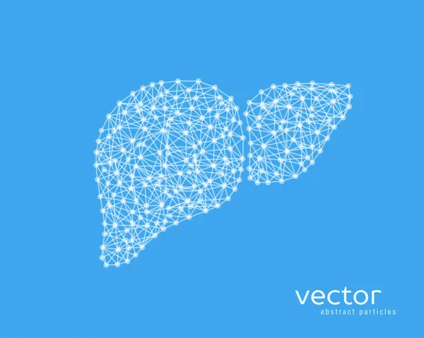 Abstract vector illustration of human liver. — Stock Vector