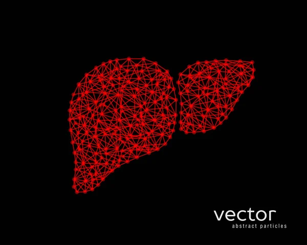 Illustrazione astratta del vettore del fegato umano . — Vettoriale Stock