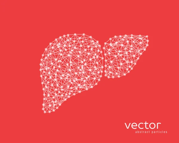 Ilustração vetorial abstrata do fígado humano . — Vetor de Stock
