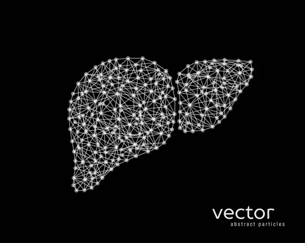 Абстрактная векторная иллюстрация печени человека . — стоковый вектор