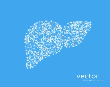 Vector illustration of human liver with cirrhosis. clipart