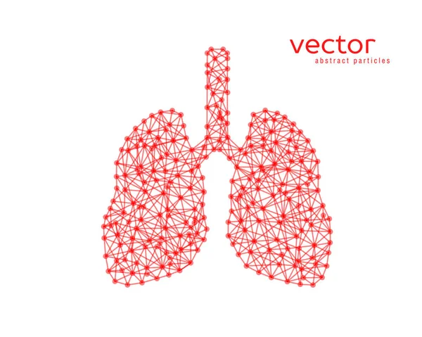 Ilustração vetorial abstrata dos pulmões humanos . — Vetor de Stock