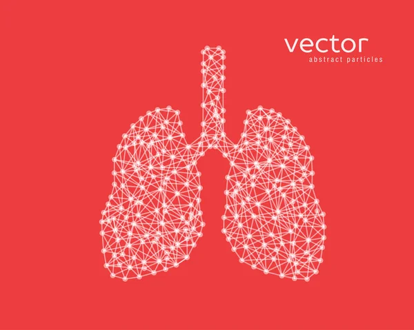 Abstract vector illustration of human lungs. — Stock Vector