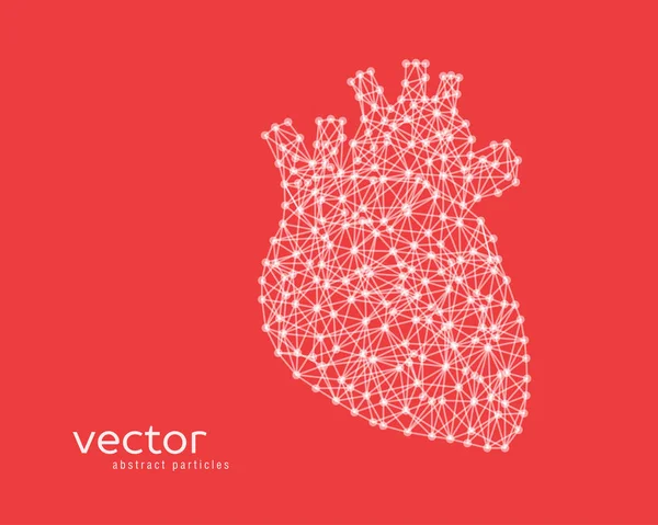 Abstract vector illustration of human heart. — Stock Vector