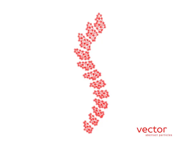 Abstract vector illustration of spinal column. — Stock Illustration Abstract vector illustration of spinal column. Stock Vector