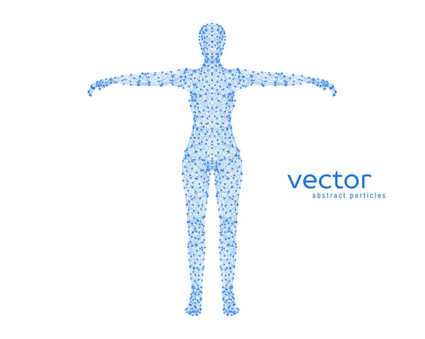 Ilustración vectorial abstracta del cuerpo femenino . — Archivo Imágenes Vectoriales