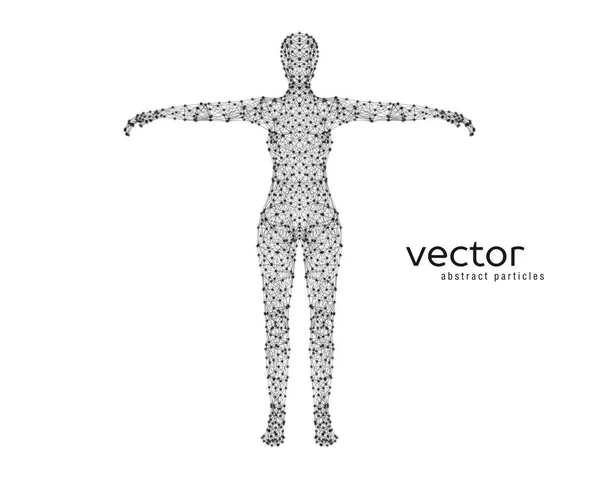 Анотація Векторні ілюстрації жіночого тіла . — стоковий вектор