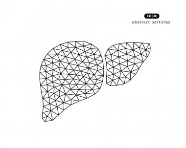 Karaciğer tasarlamak vektör çizim.