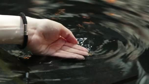 Frauenhand Mit Wasserspritzer Gegenlicht Der Abendsonne Schöne Gebräunte Hände Einer — Stockvideo