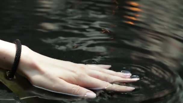 Kobieta Ręce Plusk Wody Powrót Oświetlone Przez Słońce Wieczór Piękne — Wideo stockowe