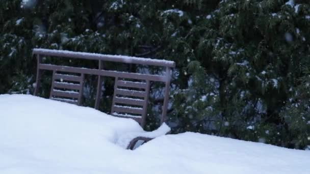 Los Copos Nieve Caen Sobre Banco Metálico Parque Movimiento Lento — Vídeos de Stock