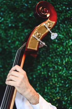 Çellocu eller orkestra müziği çalıyor. Eline odaklanan çellocu, resmi kapat. Bas viyolonsel çalan müzisyen. Orkestra sahnede konser veriyor ve klasik müzik konseri veriyor..