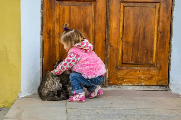 Een klein meisje met een kat spelen — Stockfoto