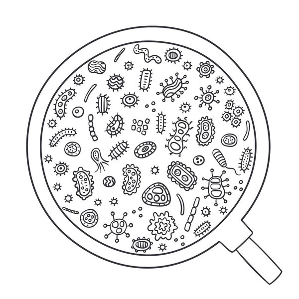 Bacterial microorganism through magnifying glass outline. Doodle style. Illustration of different germs, primitive organisms, micro-organisms, disease-causing objects, cell cancer, bacteria, viruses