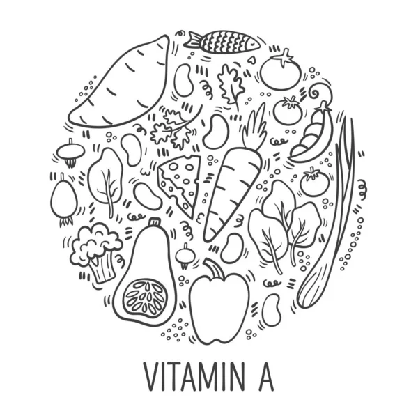 Vitamin Doodle Outline Illustration Circle Hand Drawn Illustration Different Food — Stock Vector