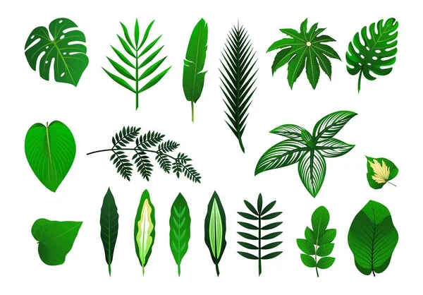 Icono conjunto de hojas de plantas tropicales. Ilustración aislada vectorial — Vector de stock