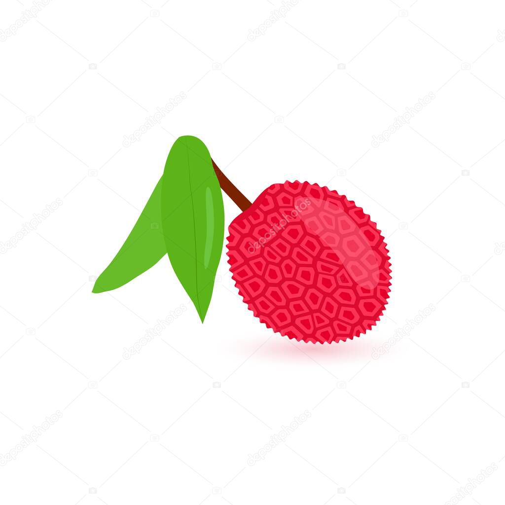 Tropical exotic lychee with leaves. Vector illustration. Flat style. Isolated icon for print, sticker, template for advertising. Abstract fruit , vegetarian menu, juice.