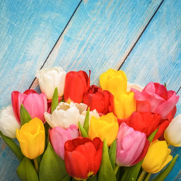 Bright bouquet of multi-colored tulips close-up on wooden boards of blue color