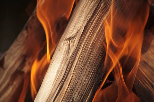 Piece of wood burning in fire lit by sunlight placed diagonally