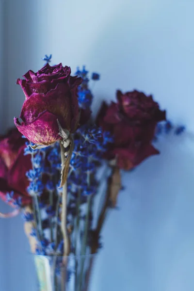 Zestaw suszonych fioletowych czerwonych róż i lawendy — Zdjęcie stockowe
