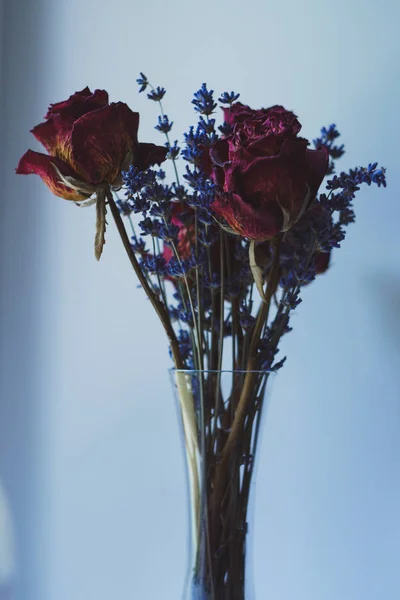 Conjunto de rosas vermelhas roxas secas e lavanda — Fotografia de Stock