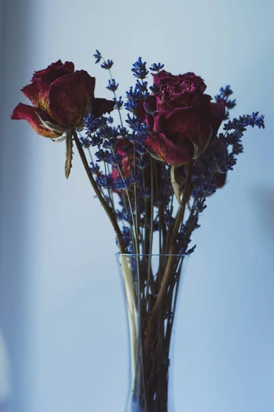 Набір сушених фіолетових червоних троянд і лаванди Ліцензійні Стокові Фото