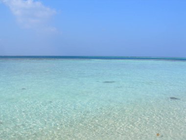 Maldivler Alifu atoll yaklaşık Ocak 2011