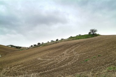 Yalnız sanat Doğa Hills fırtınalı hava bulutlu gökyüzü altında