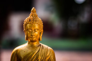Buda heykeli yumuşak odak ile arka plan bulanıklık