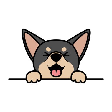 Şirin chihuahua köpek yavrusu siyah ve kahverengi pençeler duvarda, vektör illüstrasyonu