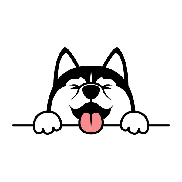 Engraçado Siberiano Husky Cão Patas Acima Sobre Parede Vetor Ilustração —  Vetores de Stock