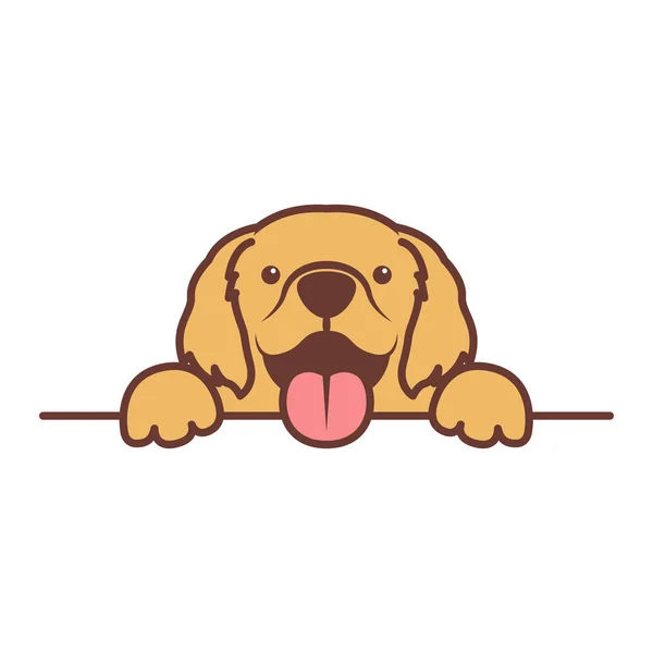Cute Golden Retriever Cachorro Patas Hacia Arriba Sobre Pared Perro — Vector de stock