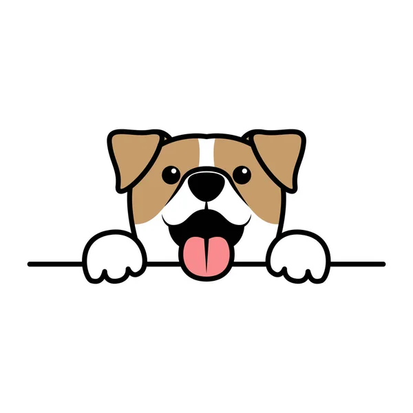 Şirin Jack Russell Terrier Patileri Duvarın Üzerinde Köpek Yüzlü Karikatür — Stok Vektör