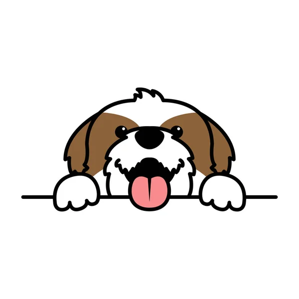 Divertido shih tzu perro patas hacia arriba sobre la pared, vector de ilustración — Vector de stock