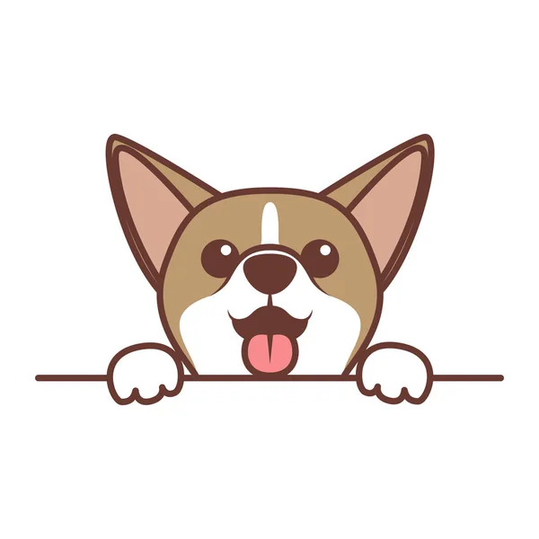 Niedlicher Chihuahua Hund Pfotenhoch Wand Vektorillustration — Stockvektor