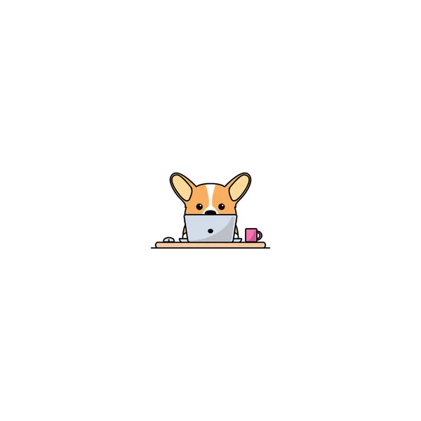 Cute Welsh Corgi Dog Working Laptop Vector Illustration — 스톡 벡터