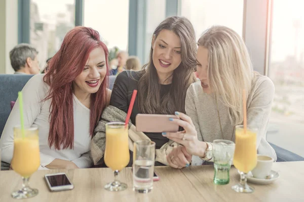 Portrait of three young beautiful women using mobile phone at co