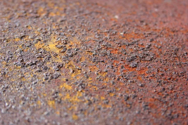 Metal, pas, eski, doku