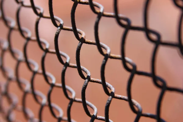 metal, ağ, tel, çit, arkaplan