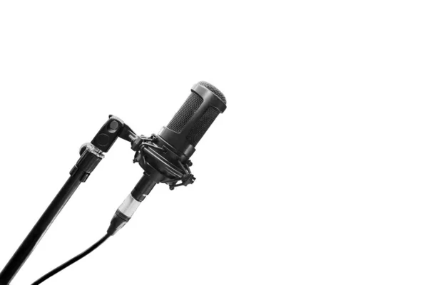Profesionální Mikrofon Stativu Bílé Pozadí — Stock fotografie