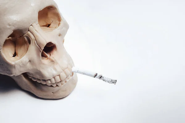 Cráneo Humano Sobre Fondo Blanco Con Cigarrillo Boca Concepto Los — Foto de Stock