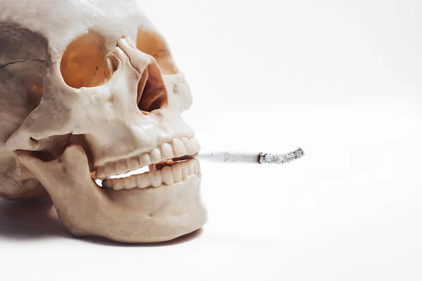 Cráneo Humano Sobre Fondo Blanco Con Cigarrillo Boca Concepto Los — Foto de Stock