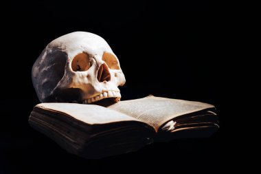 Karanlıkta, dişlerinin arasına kitap sıkıştırılmış bir insan kafatası. Bilgelik, okuma ve bilimin antika kavramı..