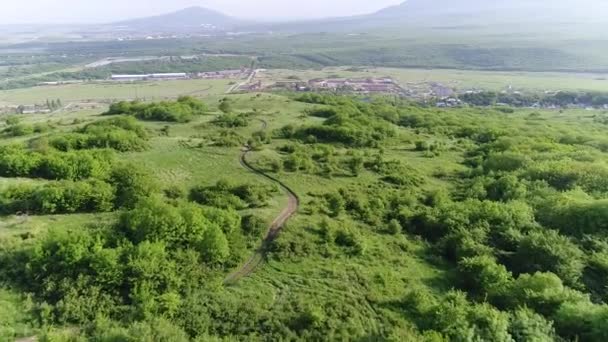 Vlucht Bomen Naar Verbrijzelde Berg — Stockvideo